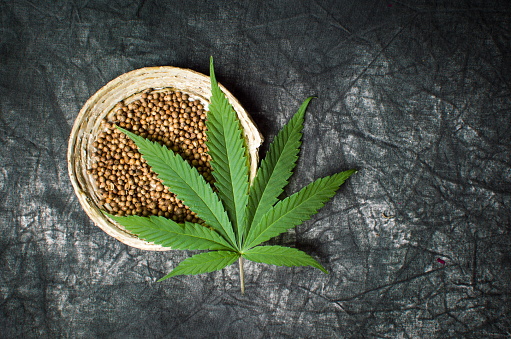 Read more on Getting to Know Cannabis Seeds